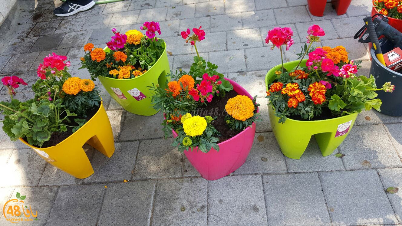 a3malkhayeret (5).jpg